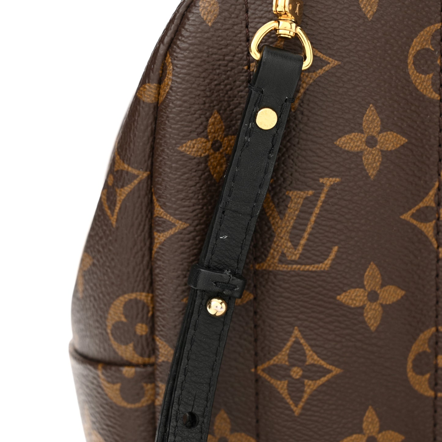 Monogram Palm Springs Backpack Mini