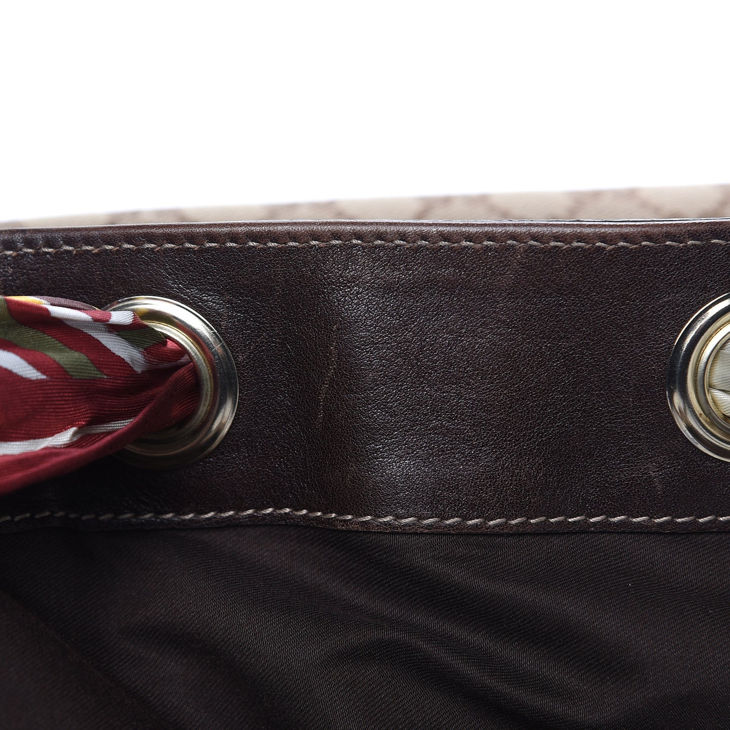 Monogram Large Positano Tote Brown