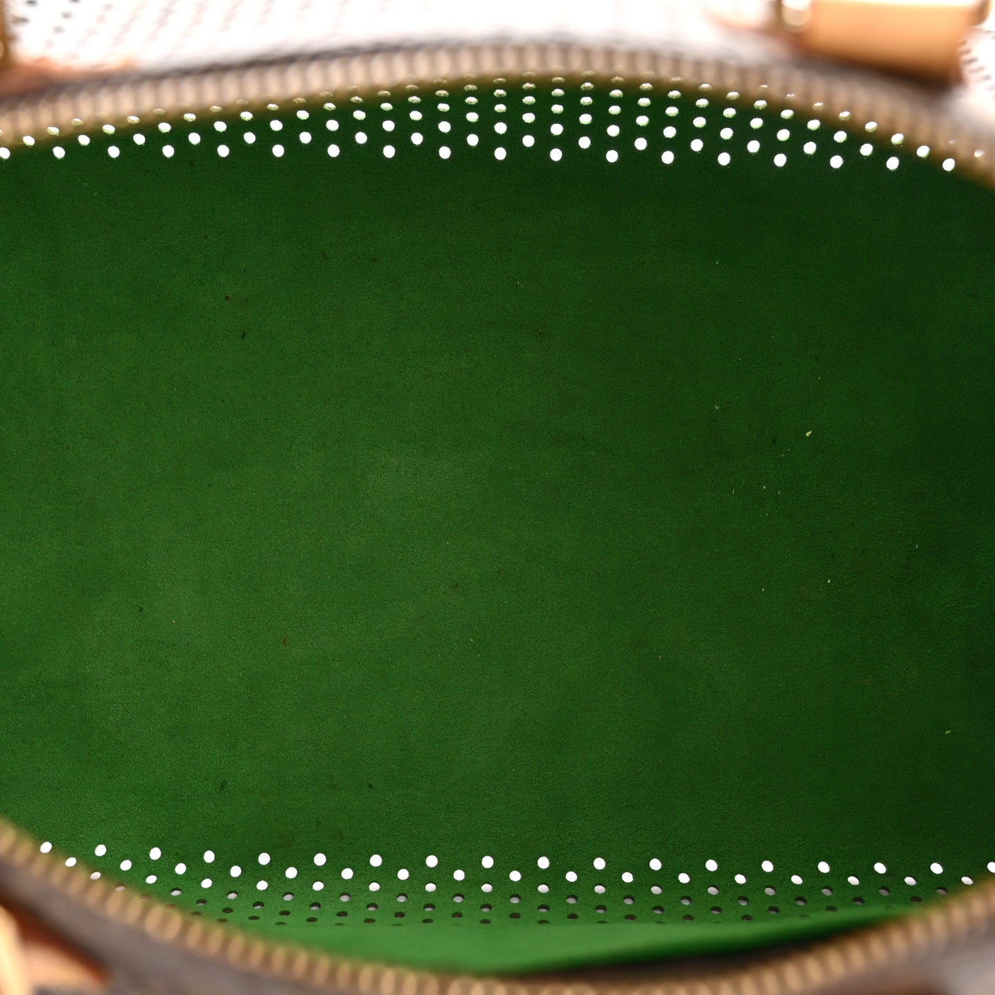 Monogram Perforated Speedy 30 Green