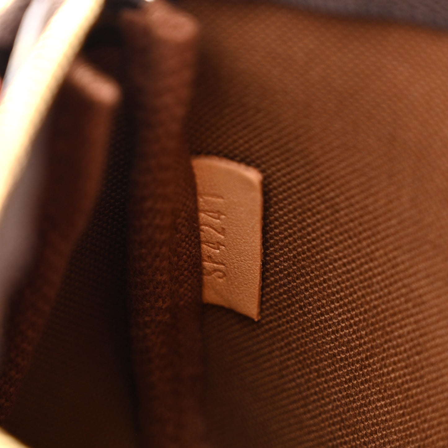 Monogram Mini Pochette Accessories