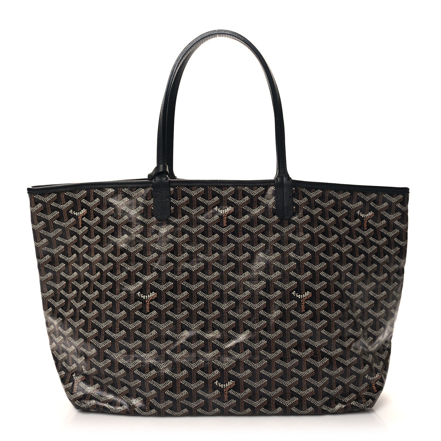 Goyard Goyardine Saint Louis PM Black 1 of 10