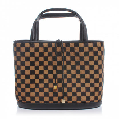 Louis Vuitton Damier Calf Hair Sauvage Impala 1 of 8