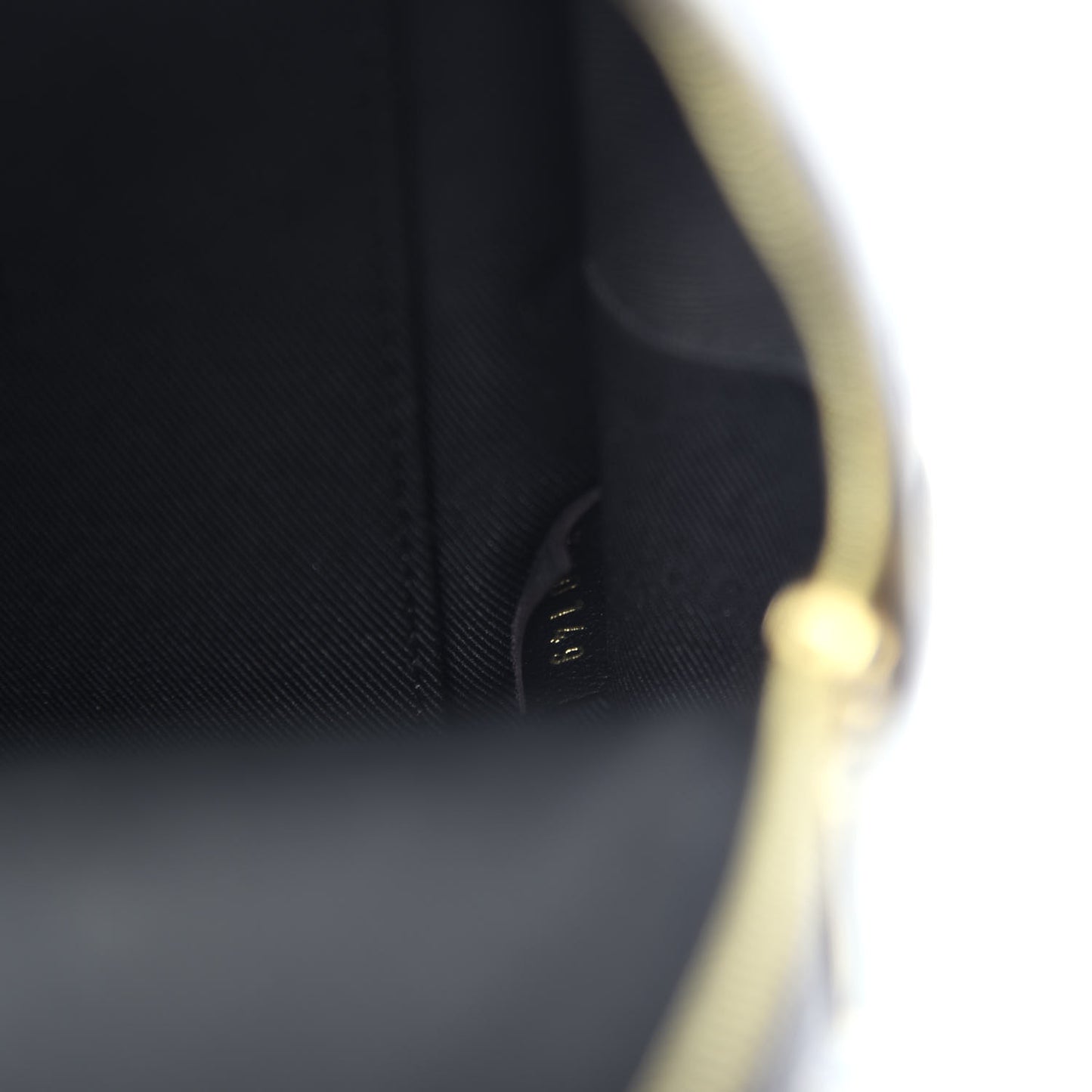 Monogram Palm Springs Backpack Mini