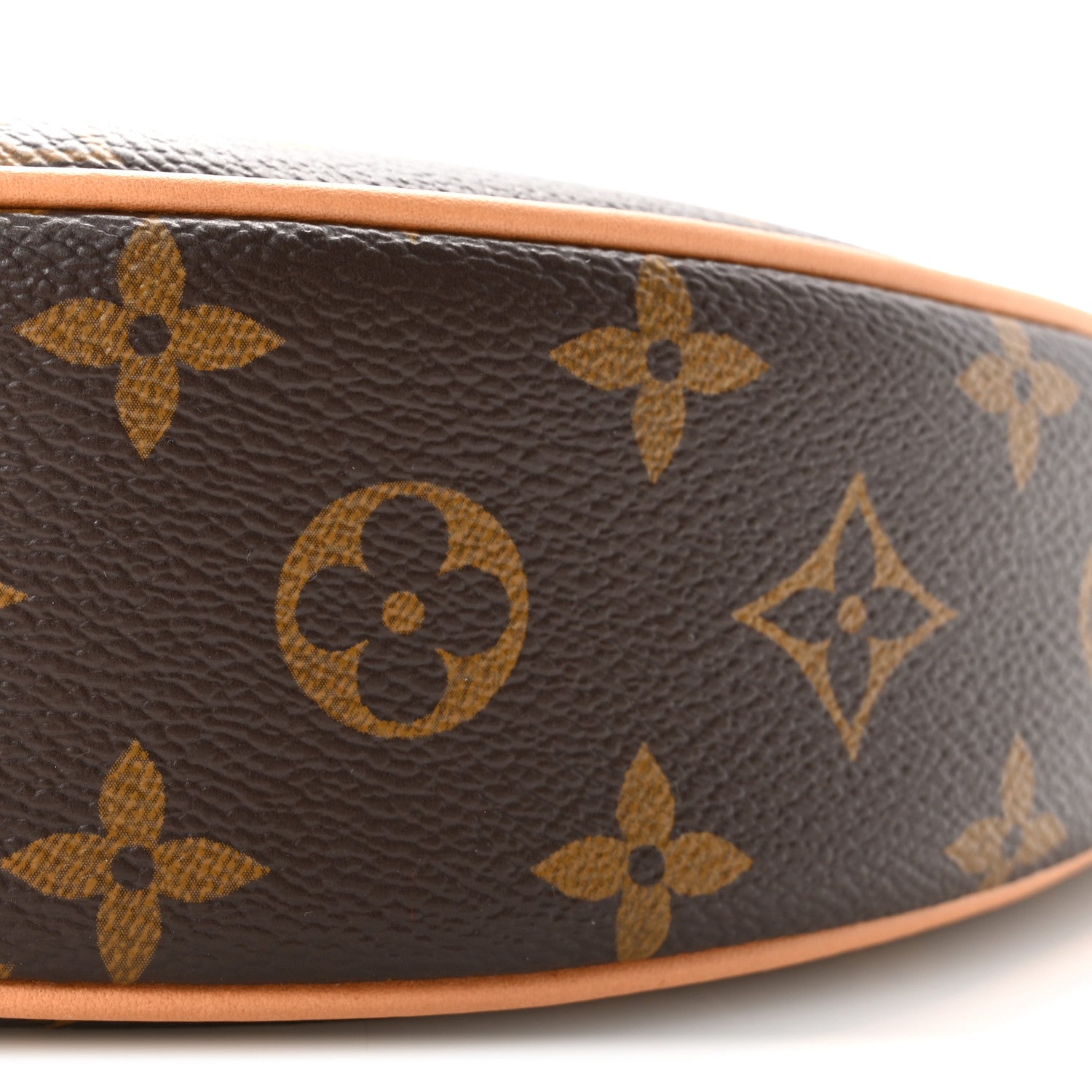 Louis Vuitton Monogram Loop 9 of 10