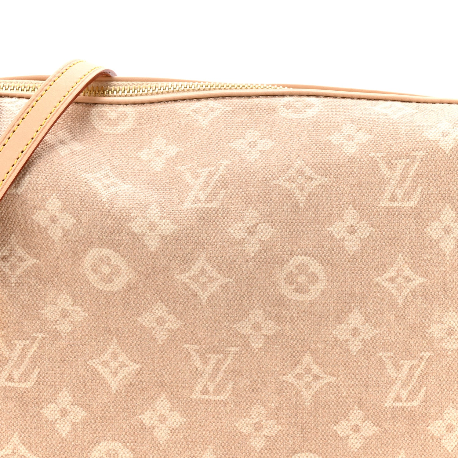 Louis Vuitton Meowgram Side Trunk GM 8 of 10