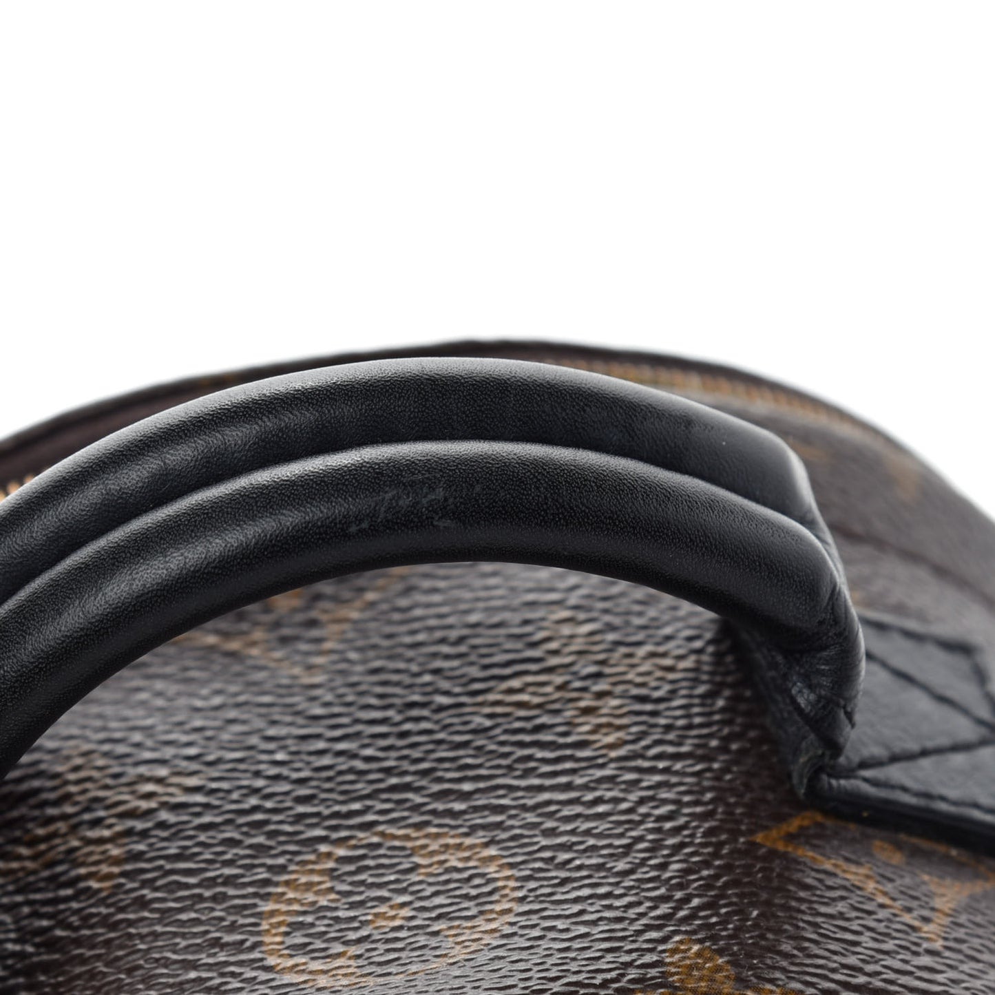 Monogram Palm Springs Backpack Mini