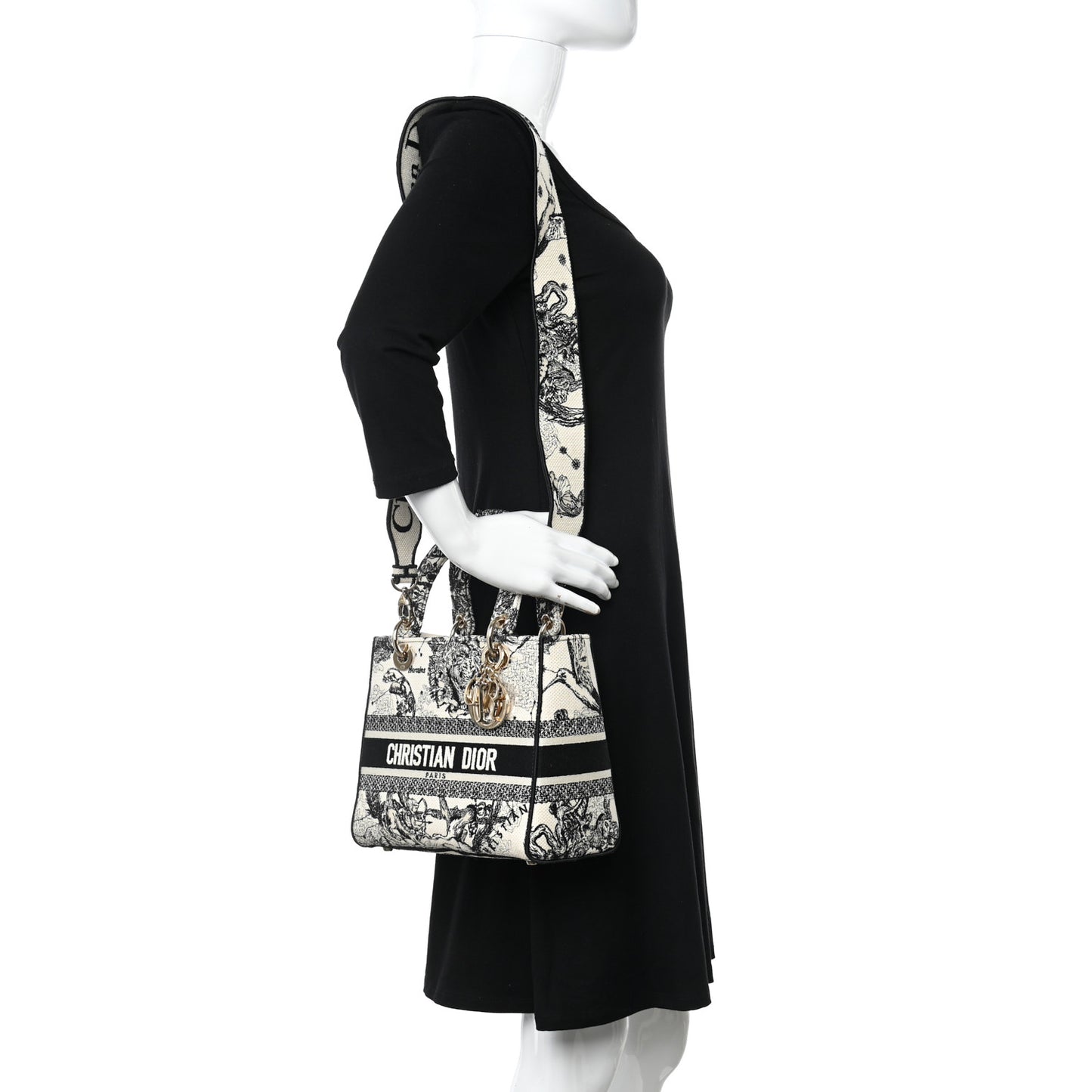 Canvas Embroidered Zodiac Toile De Jouy Medium Lady D-Lite Latte