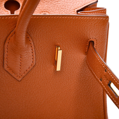 Hermes Chevre de Coromandel Birkin 30 Potiron 15 of 26