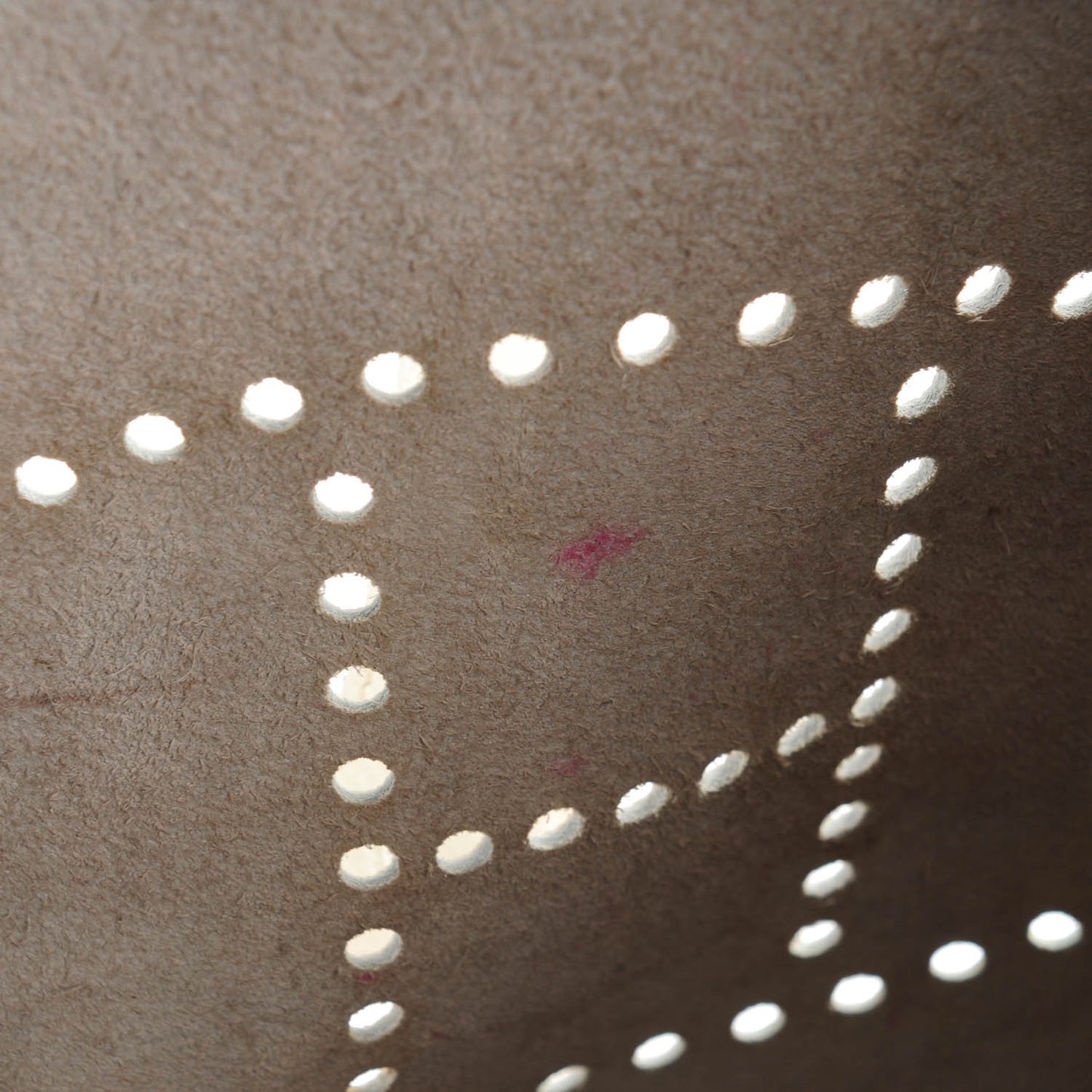 Taurillon Clemence Evelyne II GM White