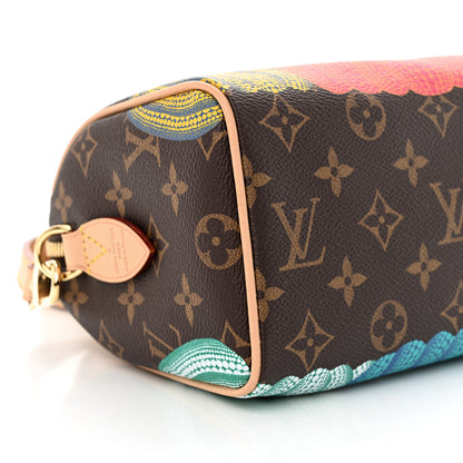 Louis Vuitton LV X YK Monogram Pumpkins Speedy Bandouliere 20 9 of 10