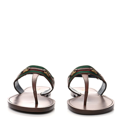 Gucci Nylon Web Lifford Jakarta Sandals 40 Brown 2 of 8