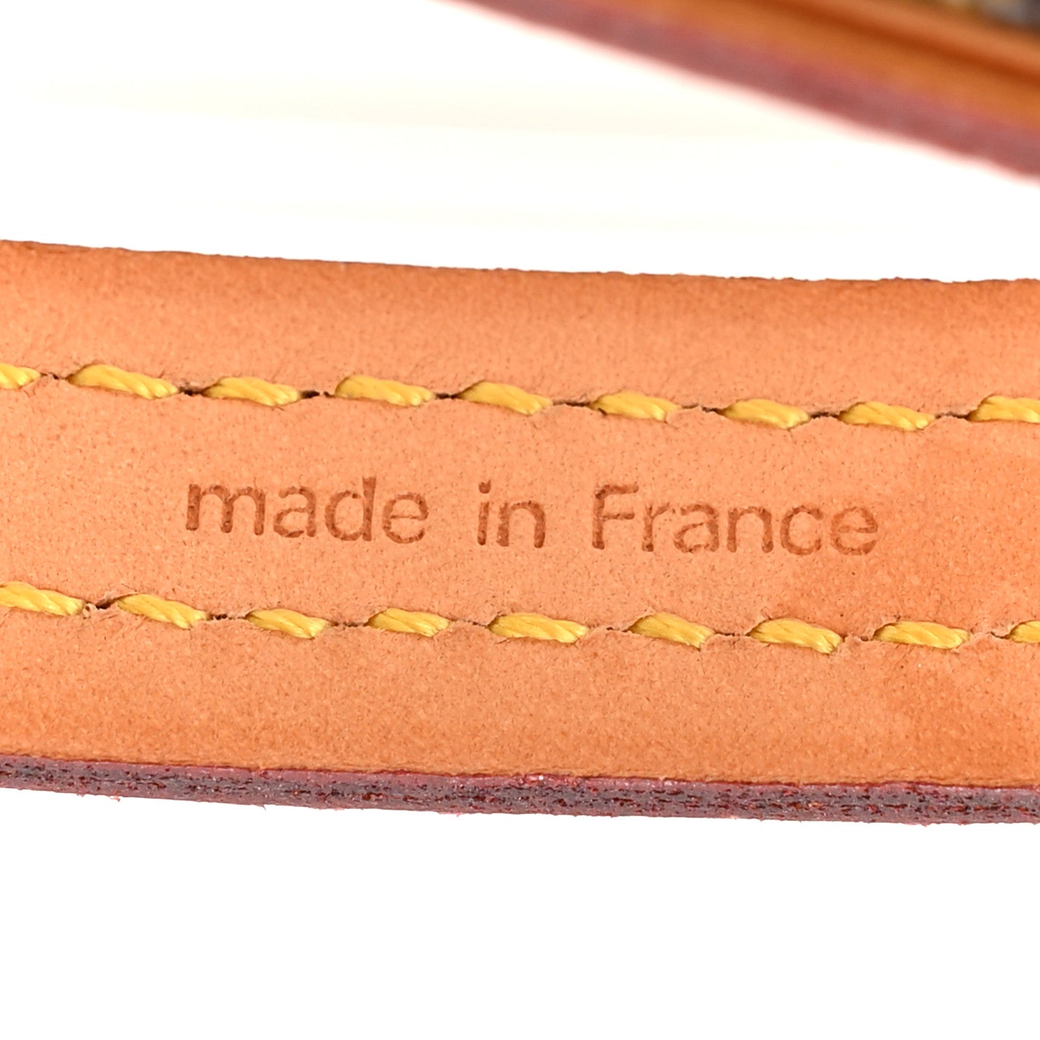 Louis Vuitton Monogram Baxter Dog Leash MM 4 of 7
