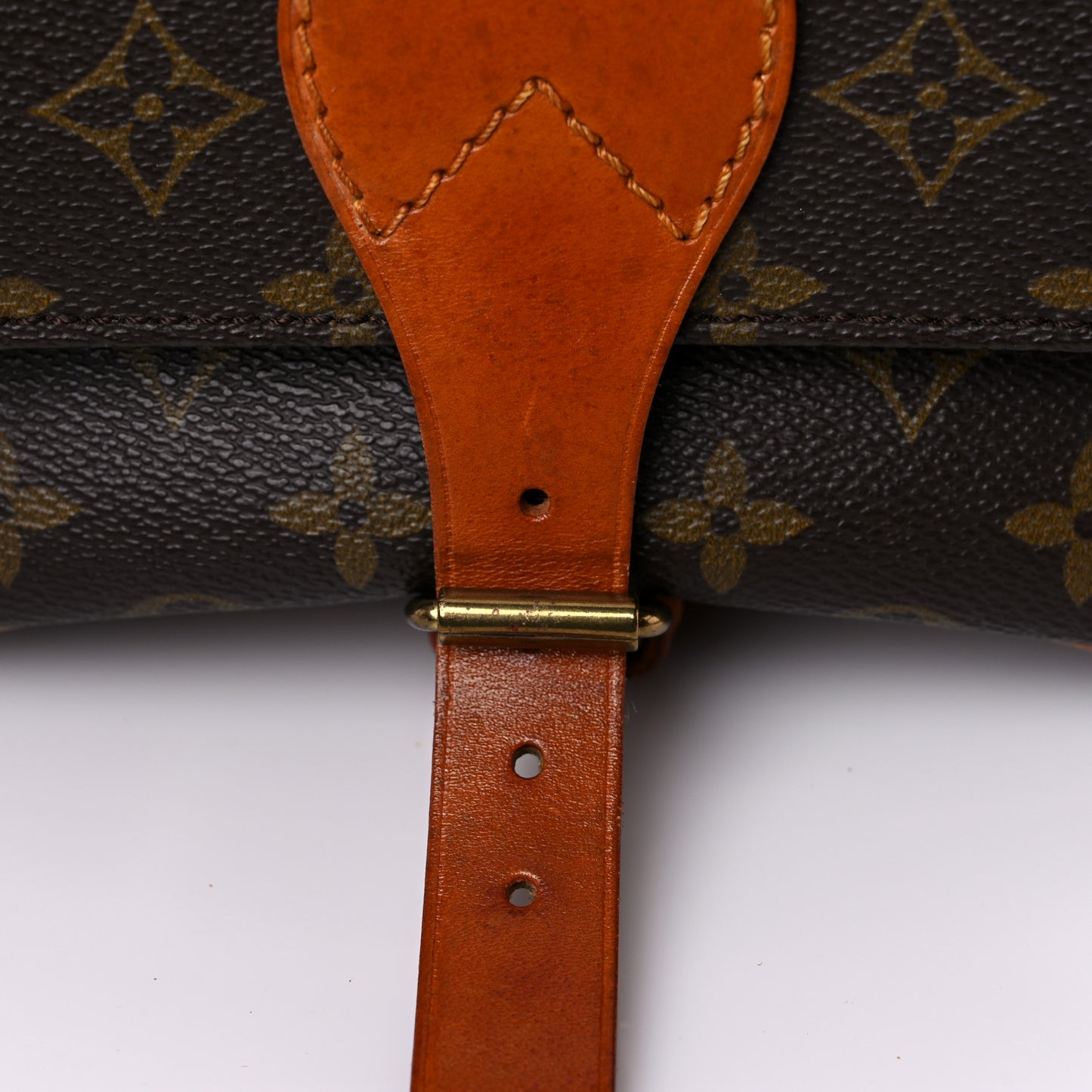Monogram Cartouchiere 22