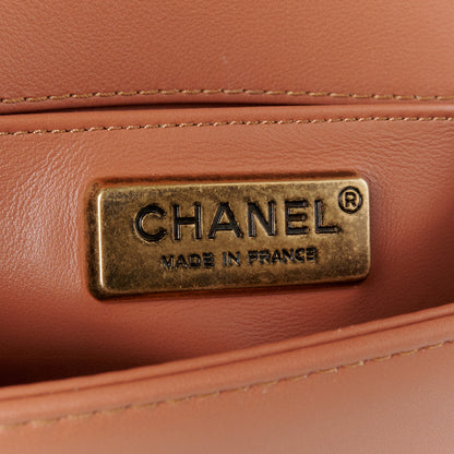 Chanel Snakeskin Calfskin Medium Chain Around Top Handle Boy Flap Camel 6 of 10