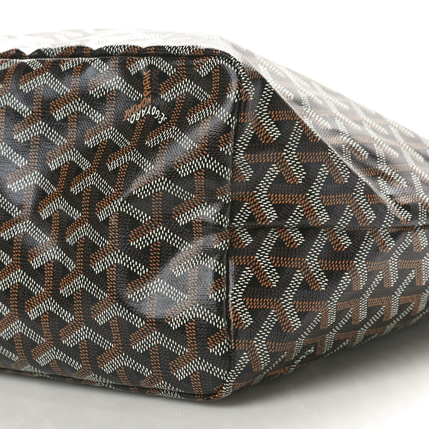 Goyard Goyardine Saint Louis PM Black 10 of 10