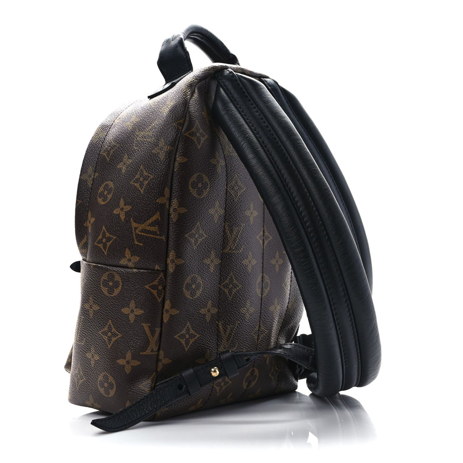 Louis Vuitton Monogram Palm Springs Backpack PM 3 of 9