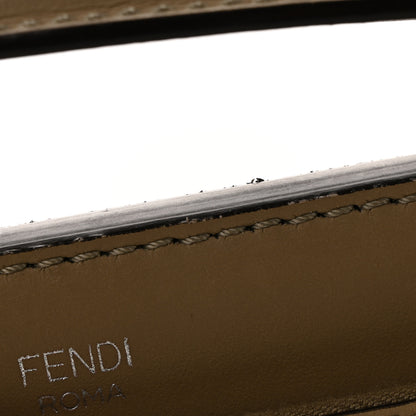 Fendi Vitello Baltico Dolce DotCom Satchel Tortora Papavero 12 of 13