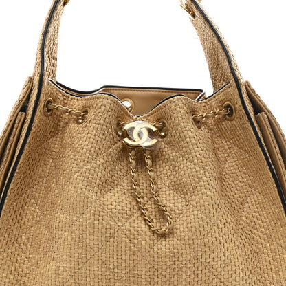 Chanel Braided Raffia Calfskin Small Chanel 25 Handbag Beige Black 9 of 11