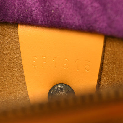 Louis Vuitton Epi Speedy 25 Tassil 7 of 12