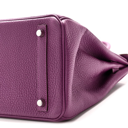 Hermes Togo BIRKIN 30 Anemone 10 of 10
