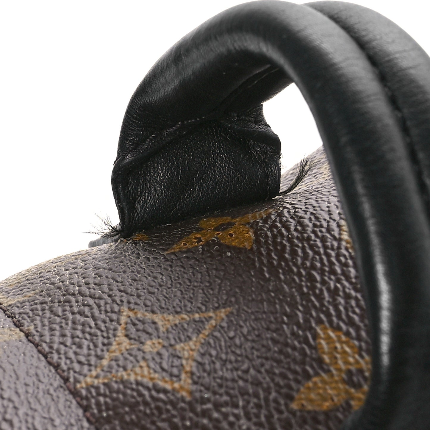 Monogram Palm Springs Backpack Mini