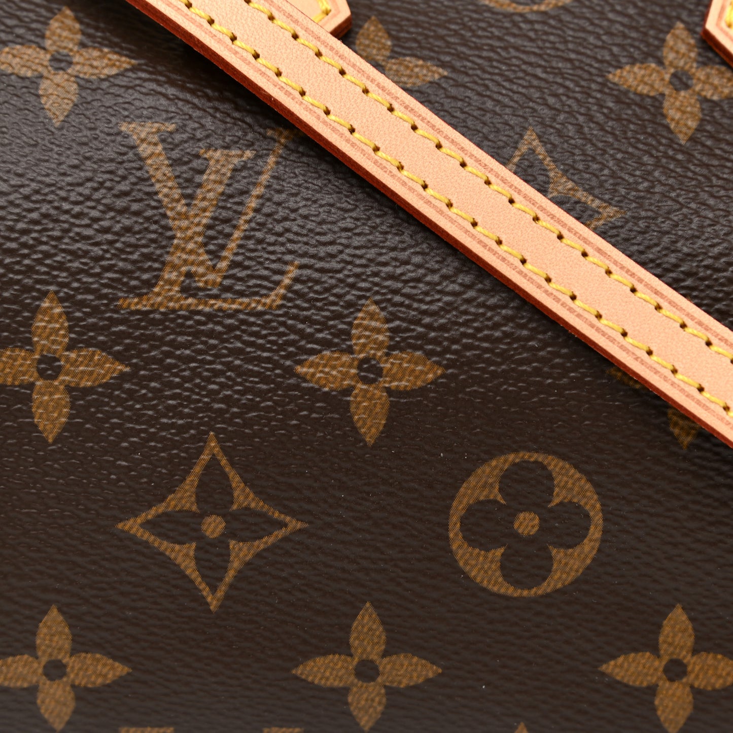 Monogram Nano Speedy