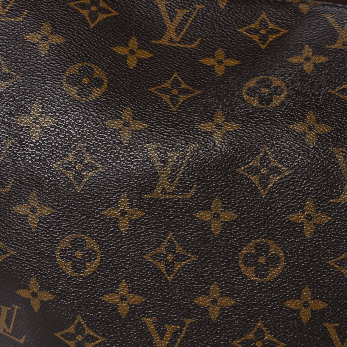 Monogram Sully MM