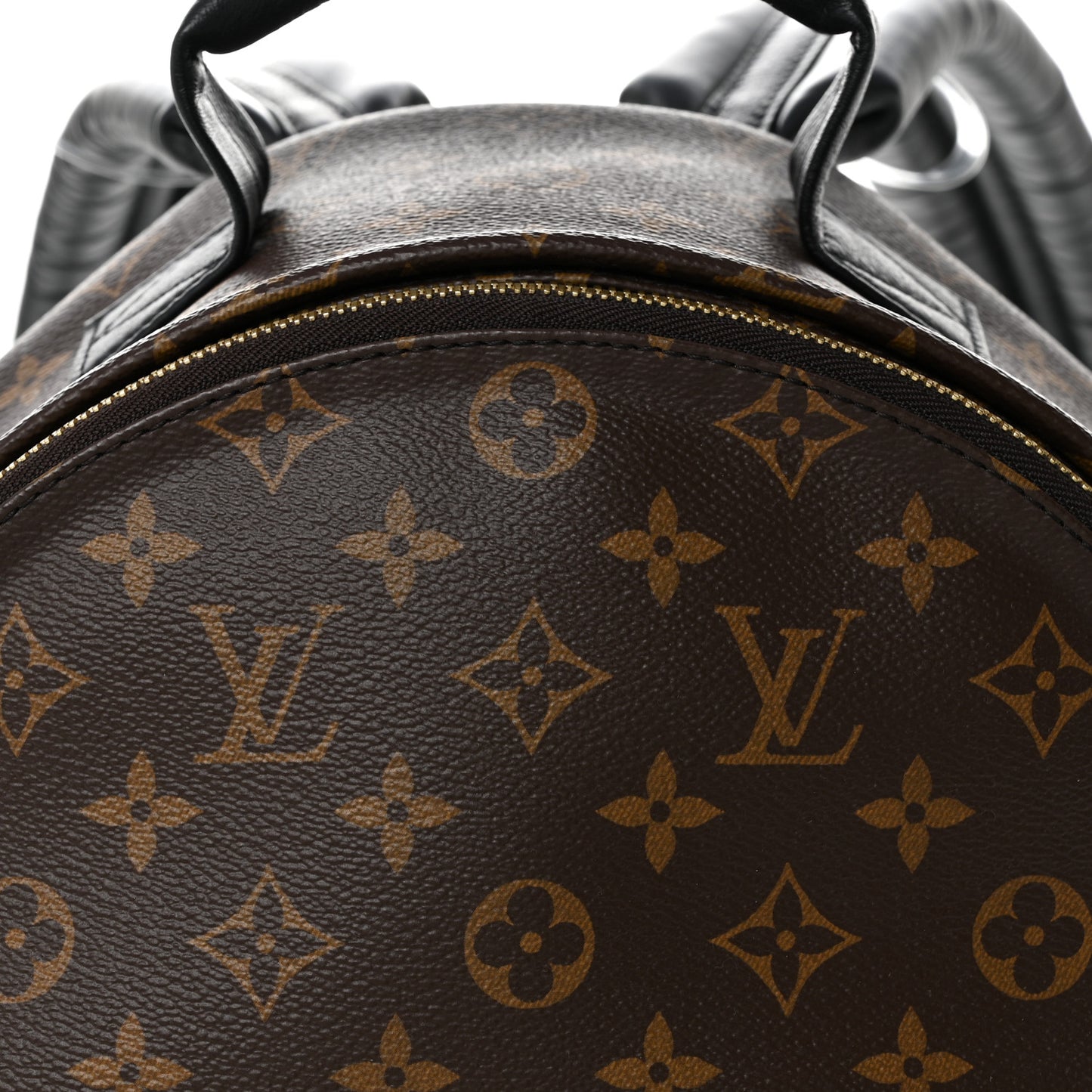 Monogram Palm Springs Backpack MM