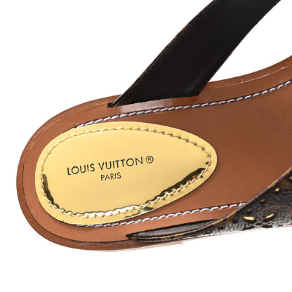 Louis Vuitton Monogram Sunny Flat Thong Sandals 39 Brown 8 of 9