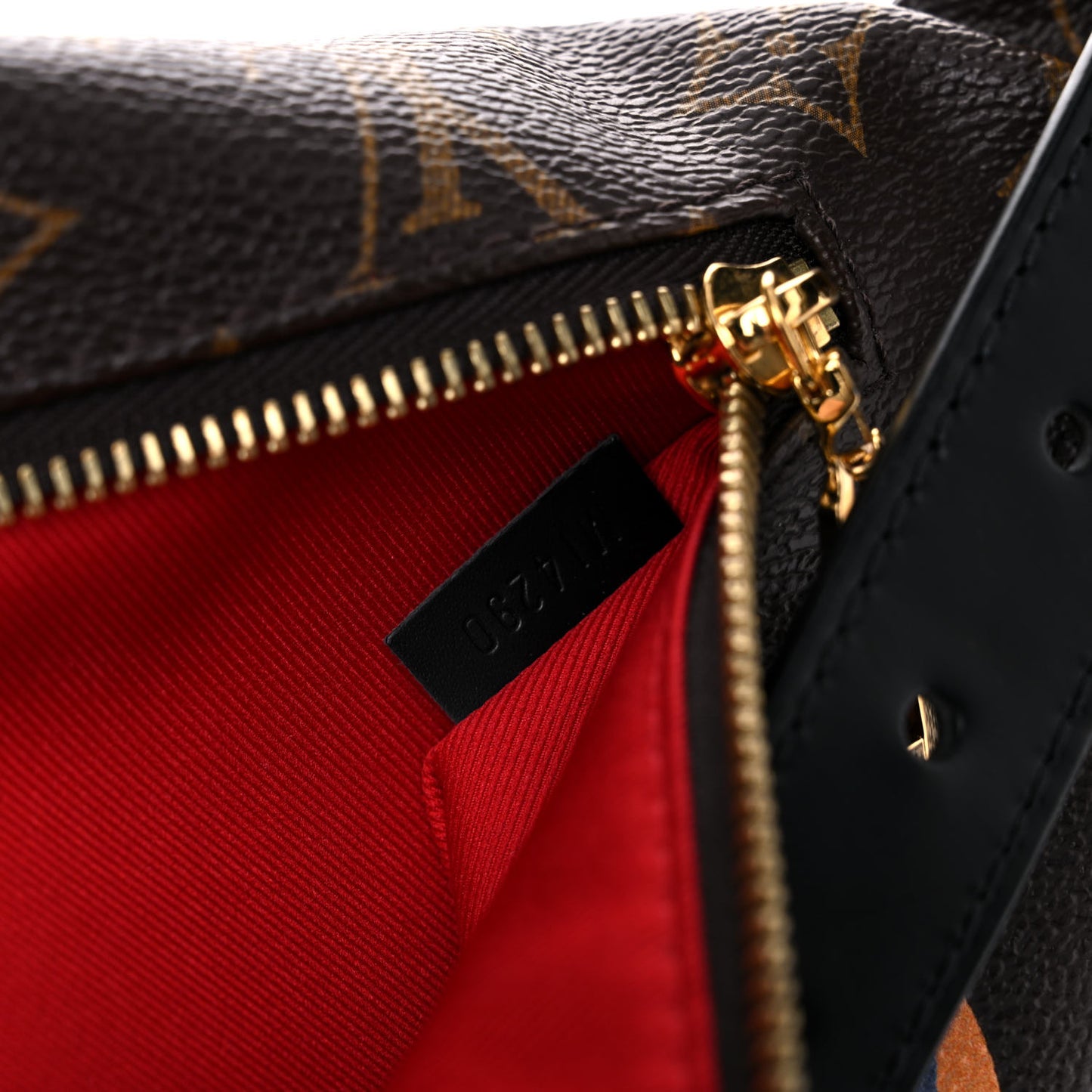 Monogram My LV World Tour Bumbag
