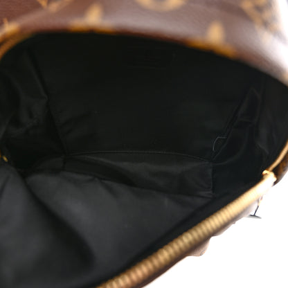 Louis Vuitton LOUIS VUITTON Reverse Monogram Palm Springs Backpack PM 5 of 10