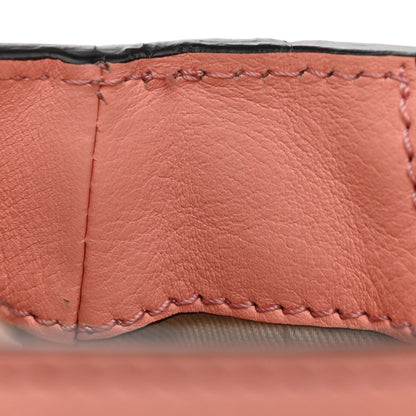 Chloe Suede Calfskin Mini Faye Backpack Ideal Blush 12 of 13