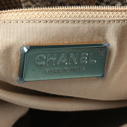 Chanel Snakeskin CC Hobo Beige 6 of 10