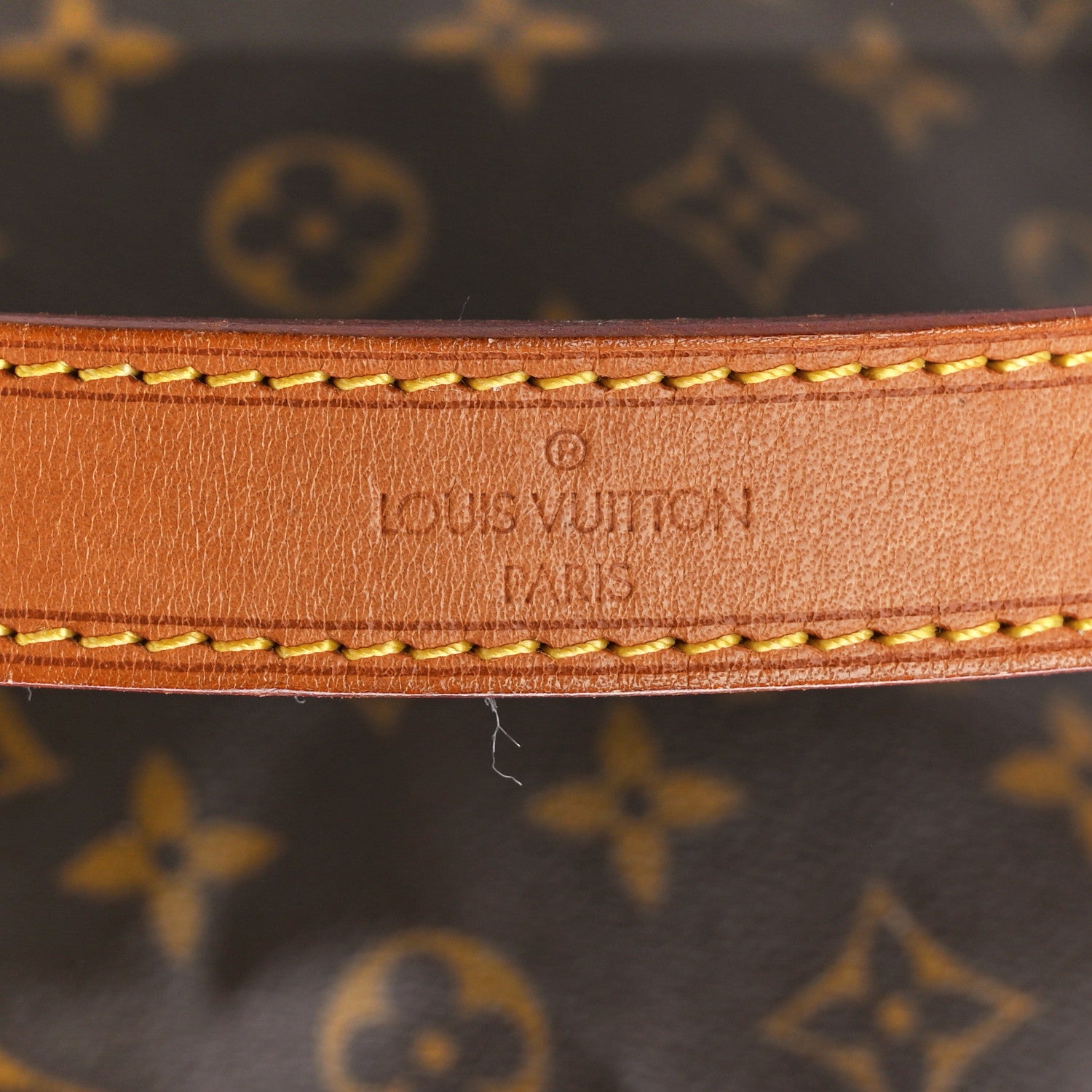 Louis Vuitton Monogram Petit Noe 6 of 15