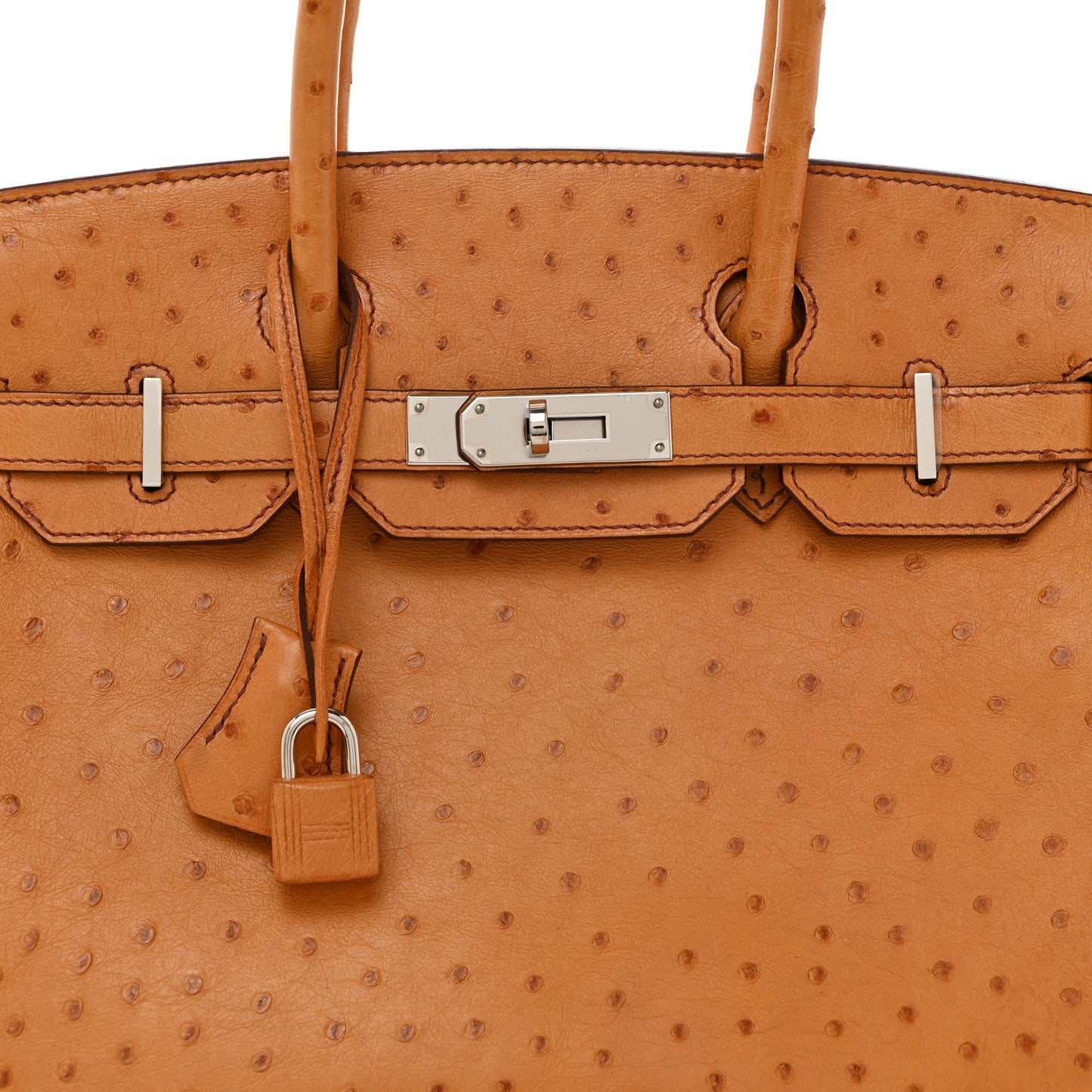 Ostrich Birkin 30 Cognac