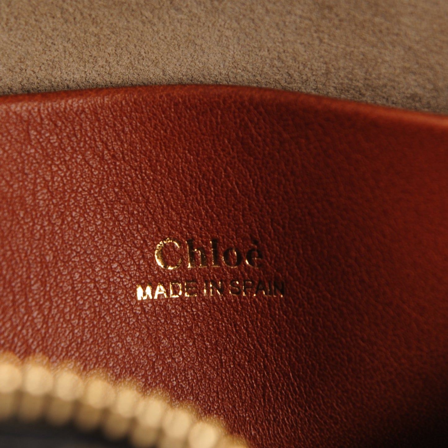 Suede Calfskin Nano Hayley Hobo Eucalyptus