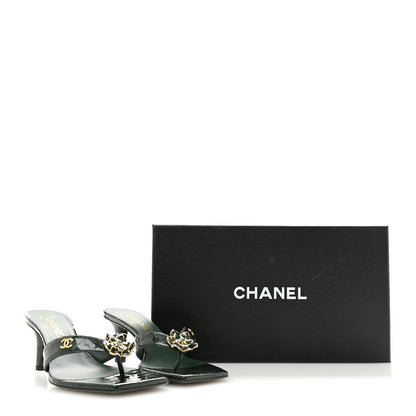 Chanel Crocodile Embossed Patent Calfskin Camelia Thong Sandals 37 Dark Green 10 of 10