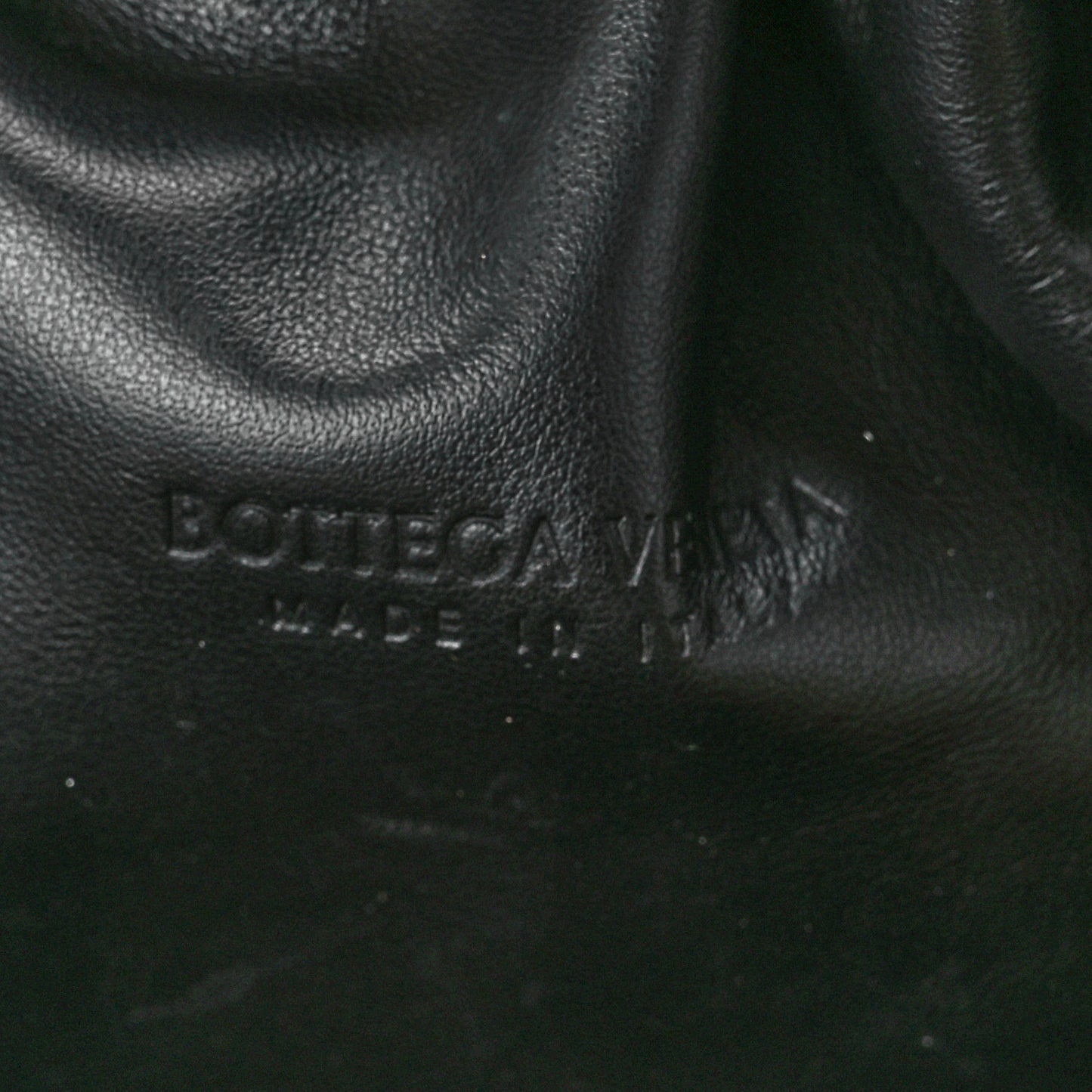 Metallic Bark Calfskin Embossed The Pouch Oversized Clutch Oro
