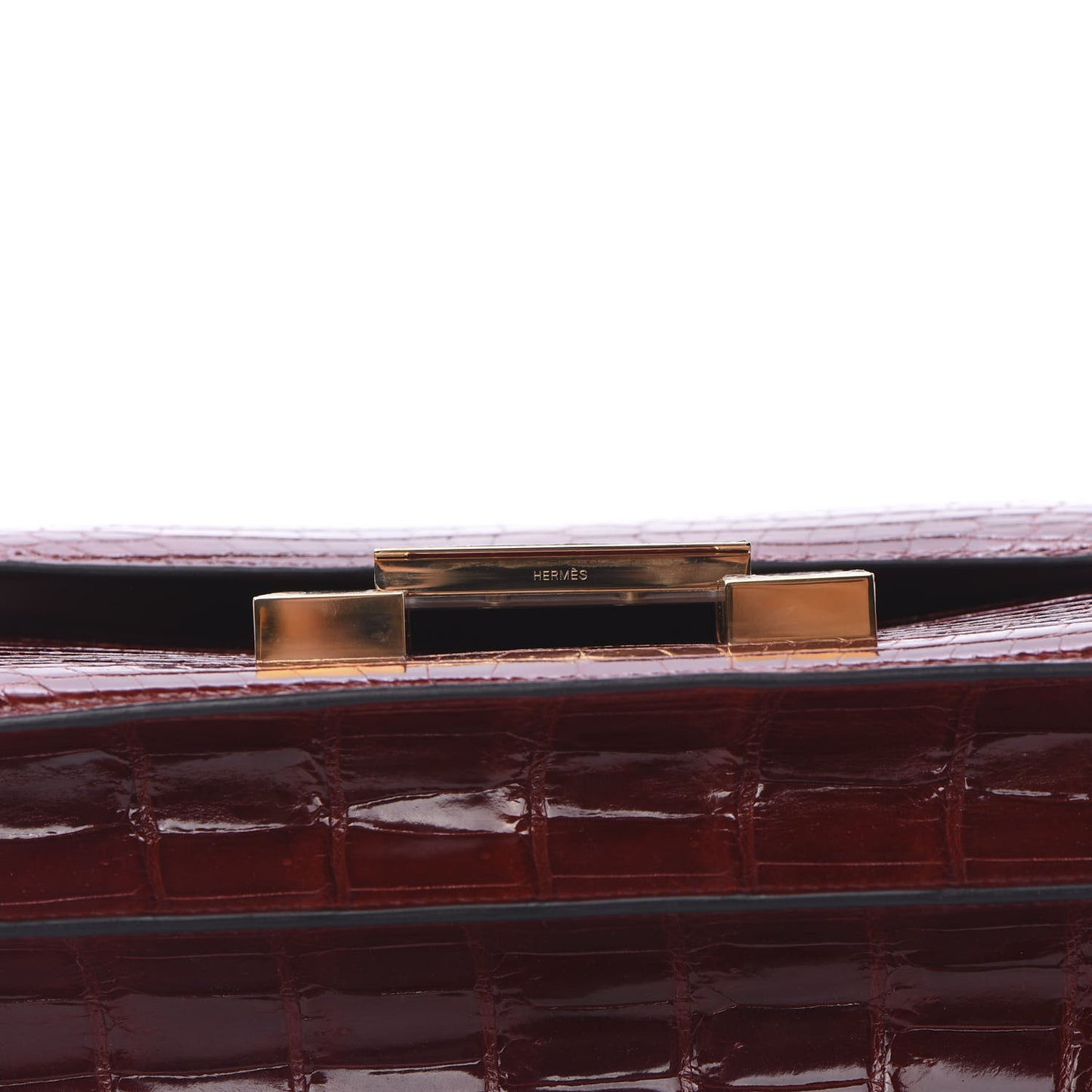 Shiny Niloticus Crocodile Lizard Marquette Constance 24 Rouge H