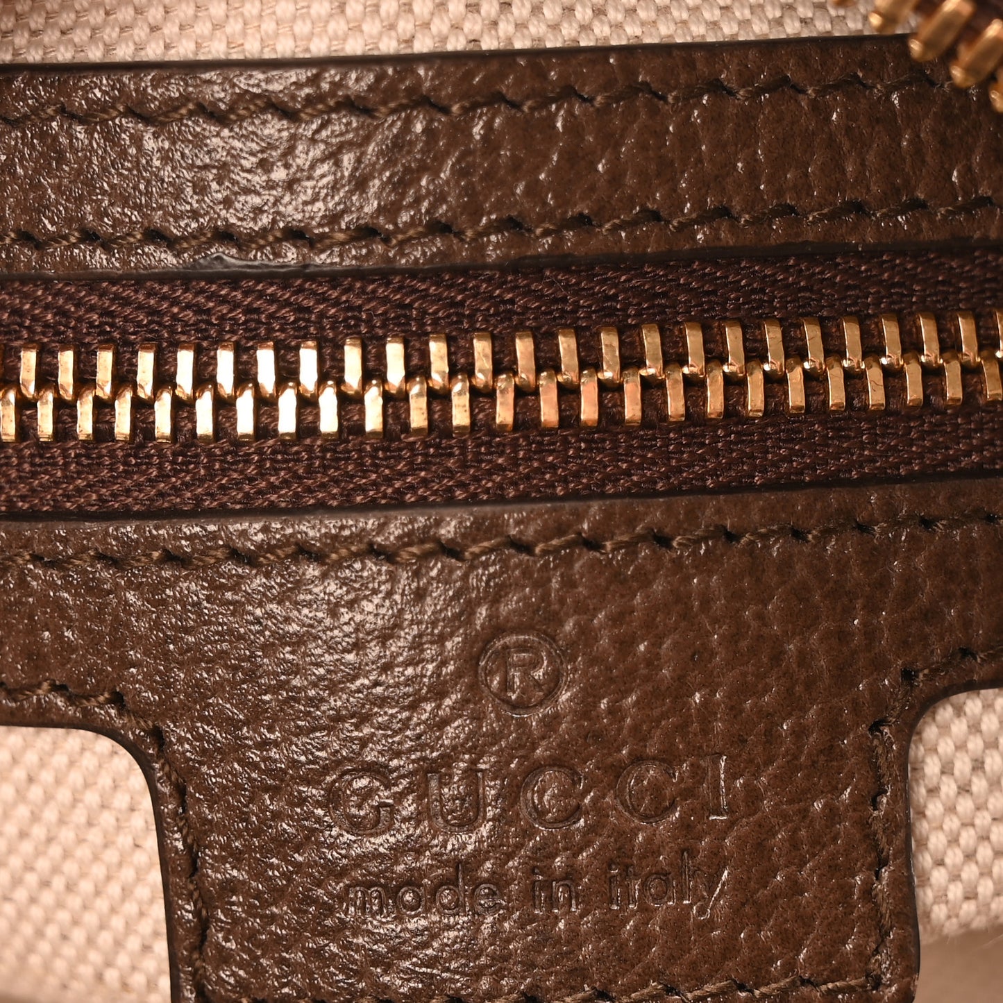 GG Supreme Monogram Textured Dollar Calfskin Mini Ophidia Flap Shoulder Bag Beige Ebony New Acero