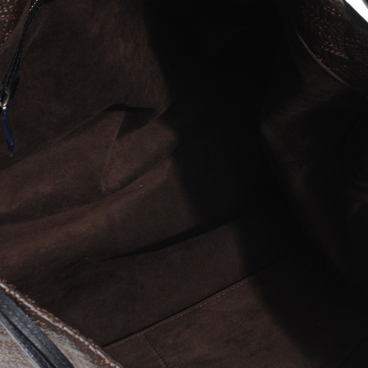 Louis Vuitton Monogram Lambskin Antheia Hobo PM Chocolat 5 of 10