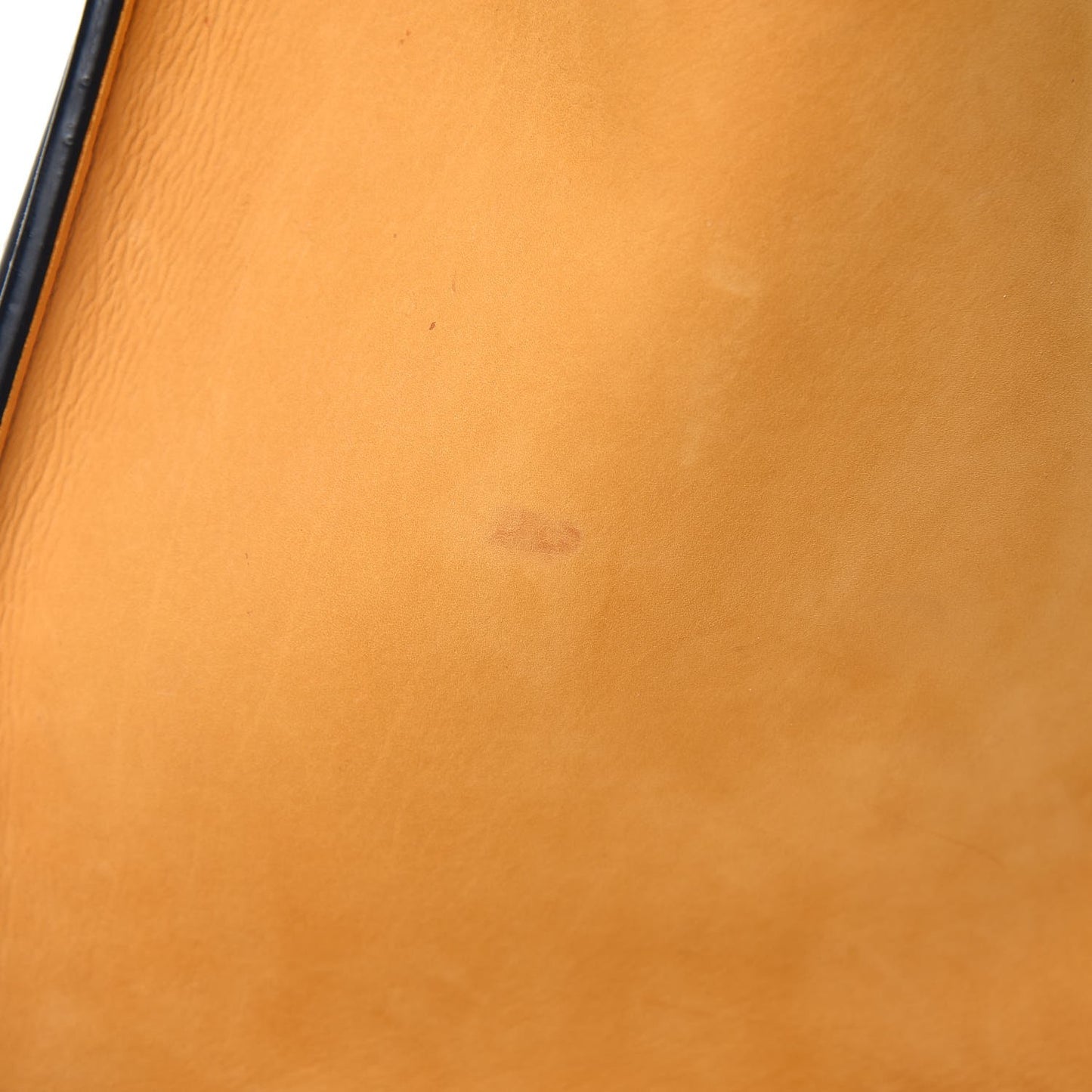 Baby Grained Calfskin Nubuck Mini Luggage Daffodil