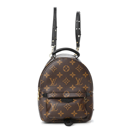 Louis Vuitton Monogram Palm Springs Backpack Mini 1 of 4