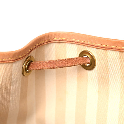 Louis Vuitton Monogram Rayures Petit Noe 20 of 28