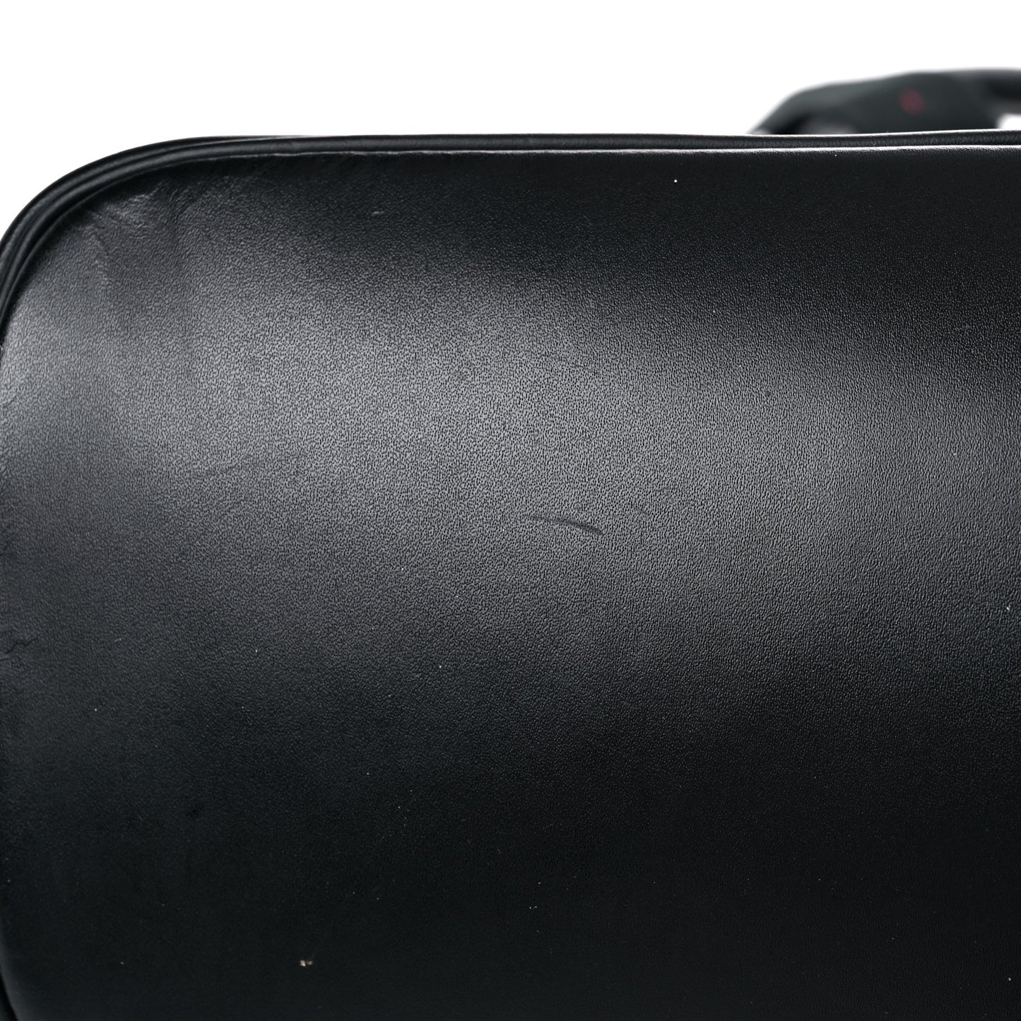 Goyardine Calfskin Alpin MM Backpack Black