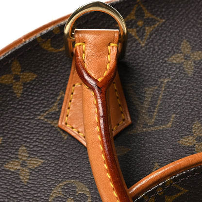 Louis Vuitton Monogram Ellipse MM 10 of 12