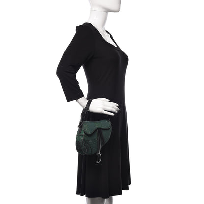 Christian Dior Crystal Calfskin Mini Saddle Bag Green Multi 2 of 9