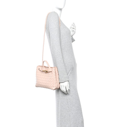 Bottega Veneta Nappa Intrecciato Small Andiamo Shoulder Bag Lotus 2 of 18