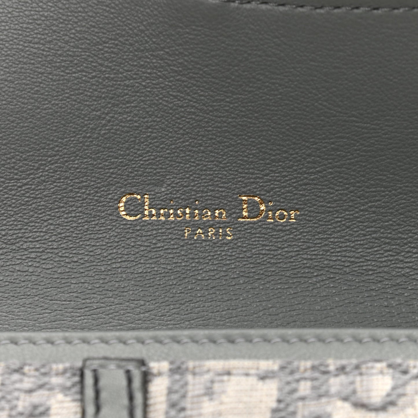 Oblique Saddle Chain Long Wallet Grey