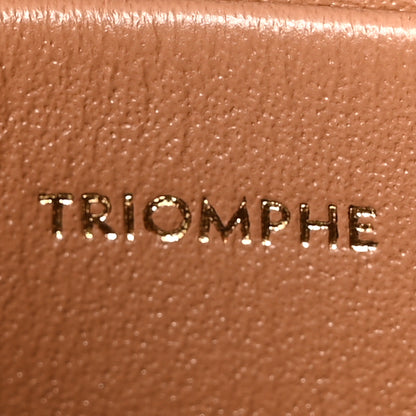 Celine Shiny Calfskin Teen Triomphe Bronze 6 of 10